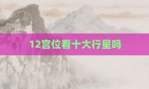 12宫位看十大行星吗
