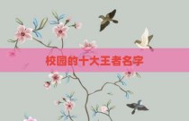 校园的十大王者名字