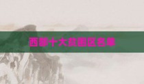 西部十大贫困区名单