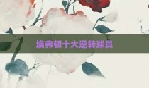 埃弗顿十大逆转球员
