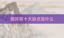循环泵十大缺点是什么