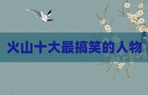火山十大最搞笑的人物
