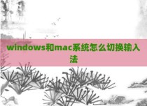 windows和mac系统怎么切换输入法