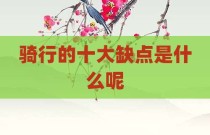 骑行的十大缺点是什么呢