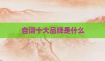 自诩十大品牌是什么