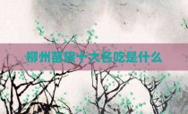 柳州苗族十大名吃是什么