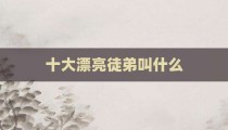 十大漂亮徒弟叫什么