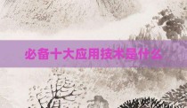 必备十大应用技术是什么