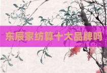 东辰家纺算十大品牌吗
