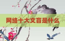 网络十大文盲是什么