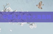 中国人必去十大海岛吗