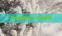 升华磁砖是十大品牌吗