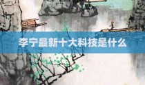 李宁最新十大科技是什么