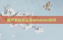 国产系统怎么装windows软件
