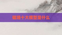 磁场十大模型是什么