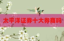 太平洋证券十大券商吗
