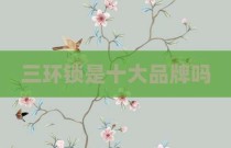 三环锁是十大品牌吗