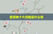 智慧屏十大功能是什么呢