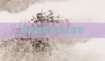 梦见放风筝什么意思