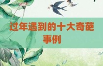 过年遇到的十大奇葩事例