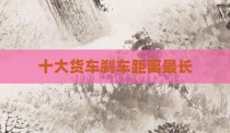 十大货车刹车距离最长