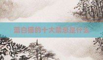 蓝白猫的十大禁忌是什么
