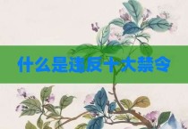 什么是违反十大禁令