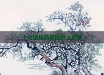 十大退烧药都是什么药物