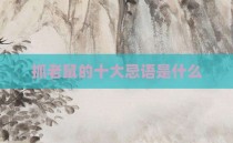 抓老鼠的十大忌语是什么