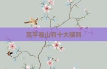 高平釜山有十大碗吗
