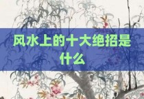 风水上的十大绝招是什么