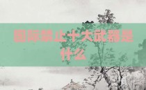 国际禁止十大武器是什么