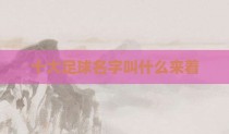 十大足球名字叫什么来着