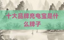 十大品牌充电宝是什么牌子