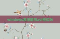 windows系统能用avi格式吗
