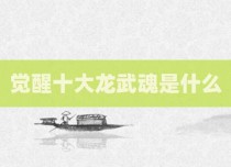 觉醒十大龙武魂是什么