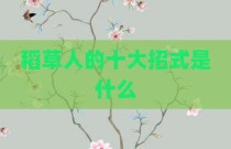稻草人的十大招式是什么