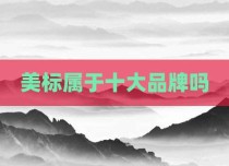美标属于十大品牌吗