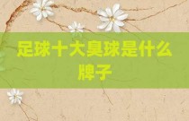 足球十大臭球是什么牌子