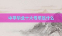 中学毕业十大专项是什么