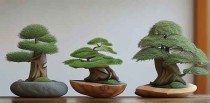 植木十大神器是什么