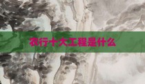 农行十大工程是什么