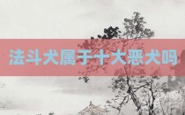 法斗犬属于十大恶犬吗
