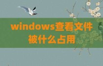 windows查看文件被什么占用