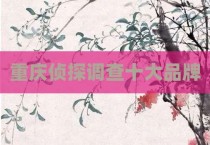 重庆侦探调查十大品牌