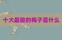 十大最酸的梅子是什么