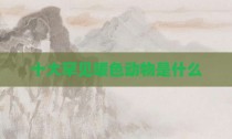 十大罕见暖色动物是什么