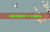 韩瑞衣柜属于十大品牌吗
