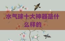 水气球十大神器是什么样的
