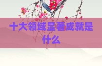 十大领域显著成就是什么